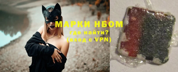 твердый Абаза