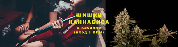 твердый Абаза