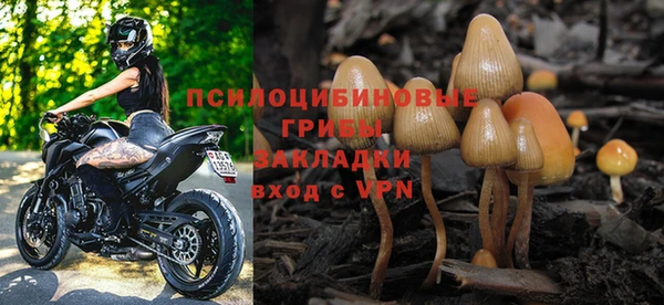 твердый Абаза