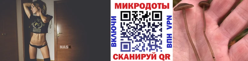 Галлюциногенные грибы Magic Shrooms  Электросталь 